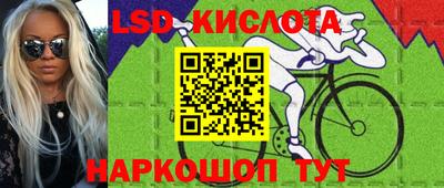 крисы Краснознаменск