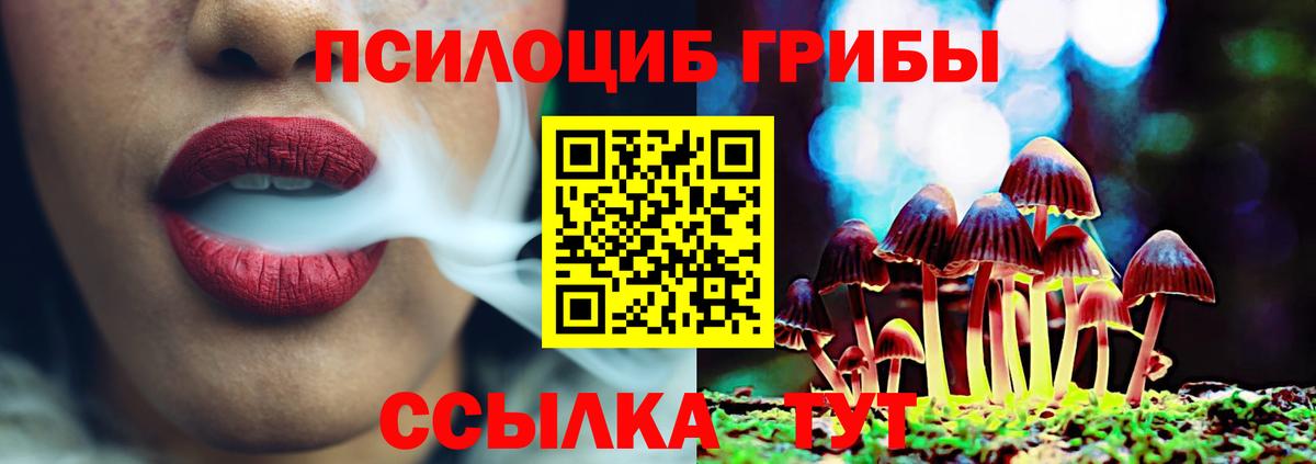 Ефремов  Псилоцибиновые грибы мухоморы  Галлюциногенные грибы Magic Shrooms  Вход с VPN 